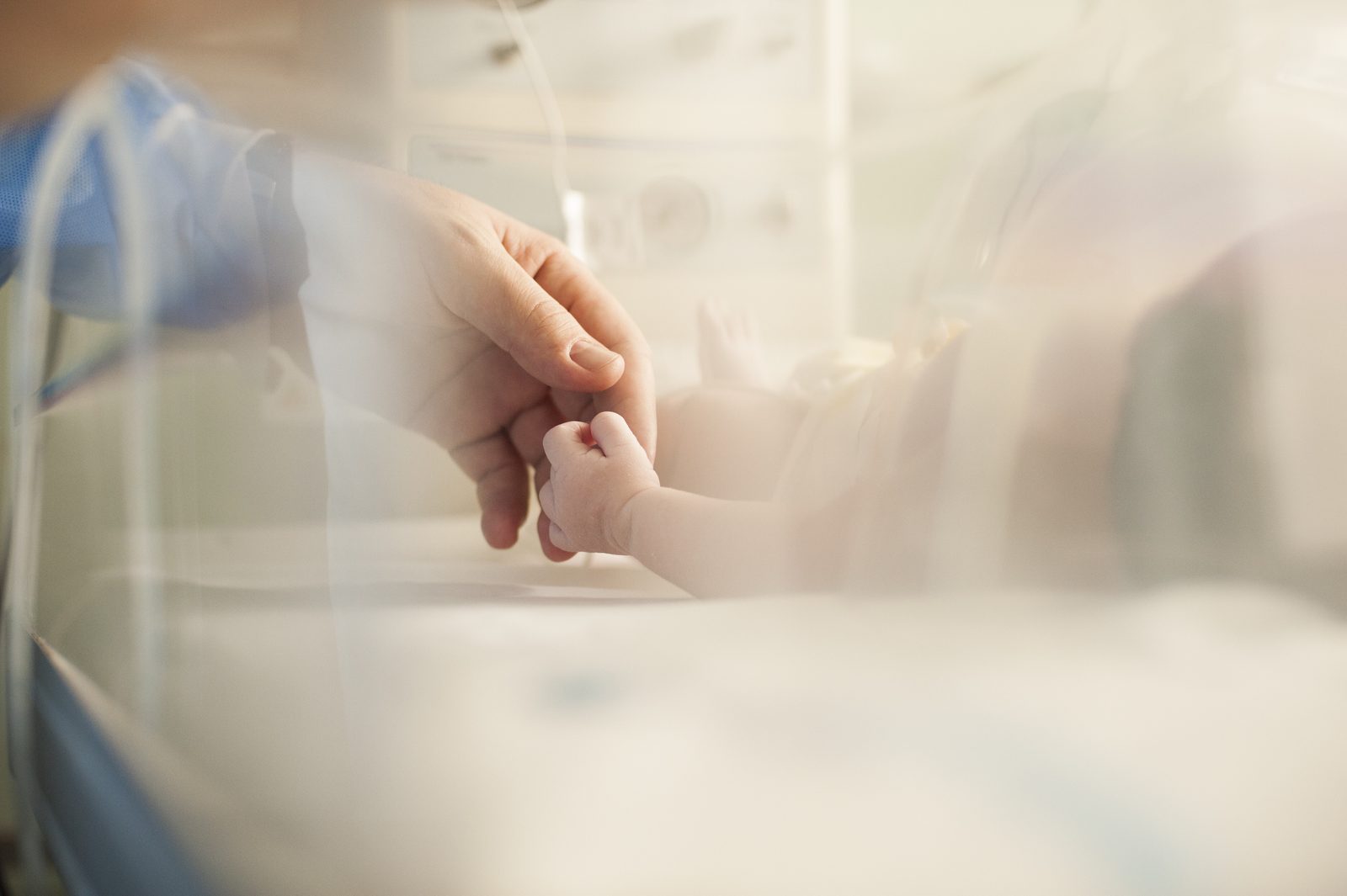 Neonatology care at SLMA